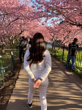 saosao room さんのコーディネート