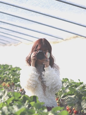 ゆみふぉん。さんのコーディネート