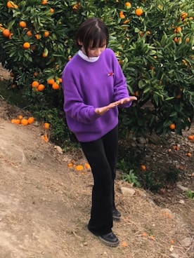 minさんのコーディネート