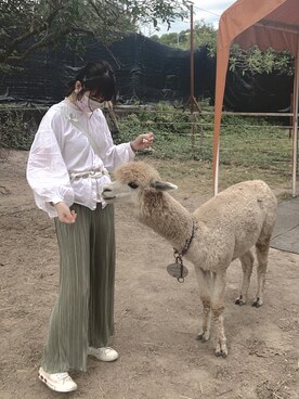 ようよう ꪔ̤̮ ⑅*さんのコーディネート