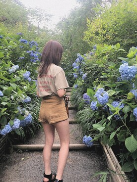 amさんのコーディネート