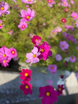 L♥️VEさんのコーディネート