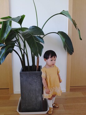 伊伊さんのコーディネート