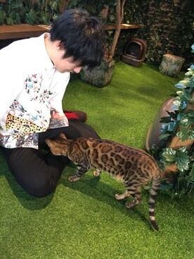 かずまさんのコーディネート