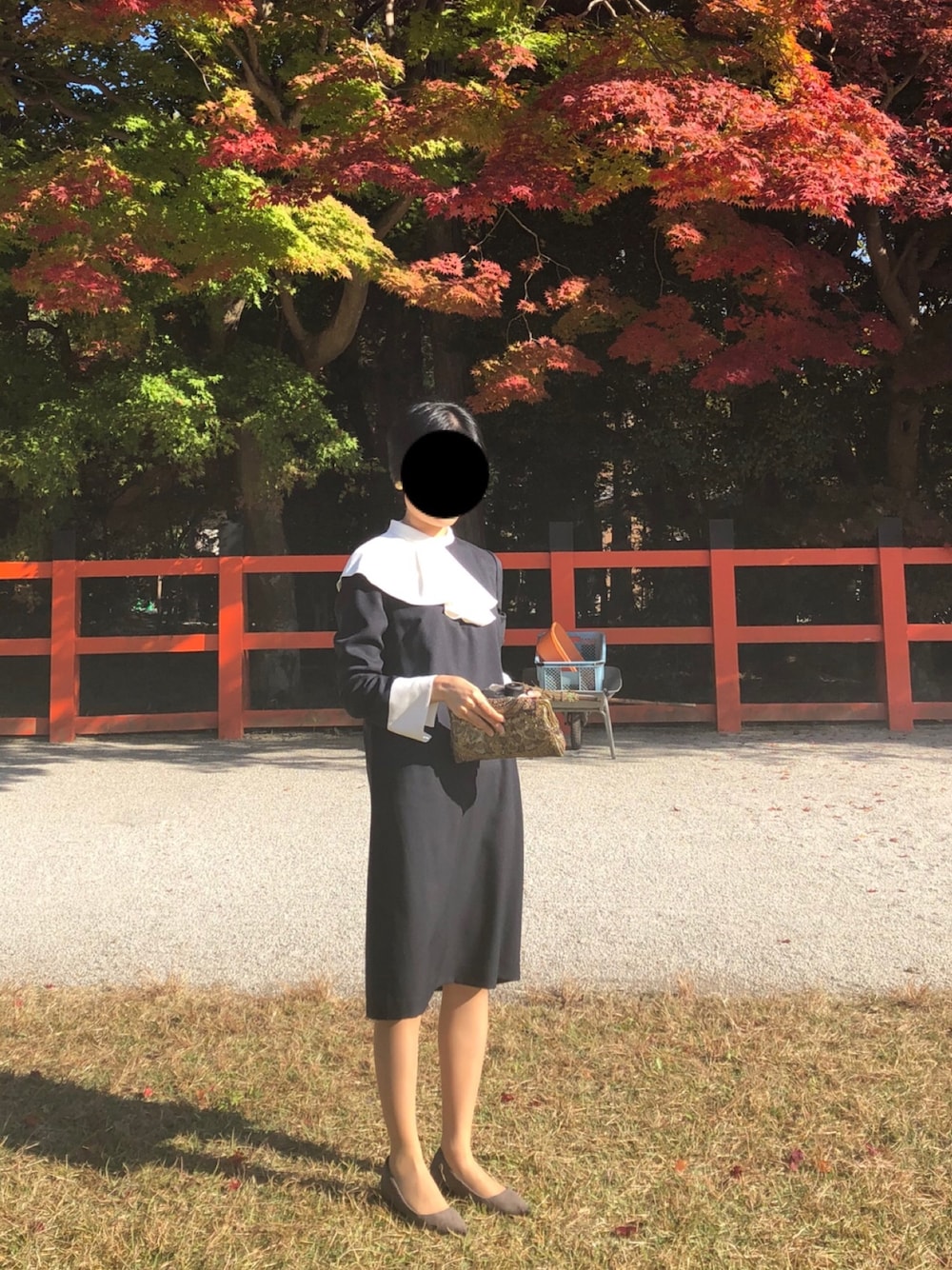 【CELFORD】アシメフリルカラーワンピース（BLU-38） CELFORD（セルフォード）の「アシメフリルカラーワンピース