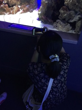 Mi❁¨̮さんのコーディネート