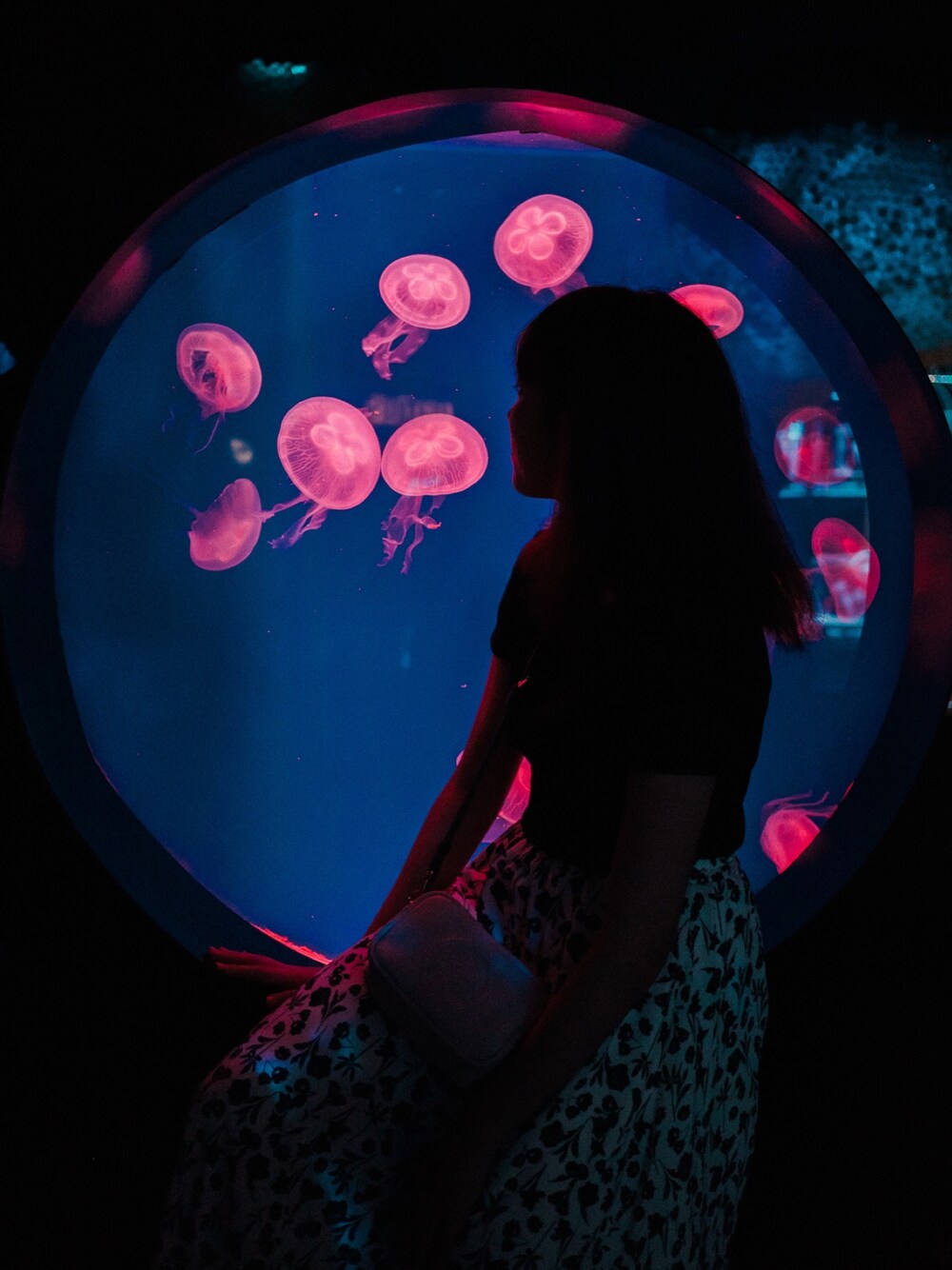 「水族館、ラフ、ラフスタイル、#beams、ナチュラル」｜「BEAMSのアイテム（トップス、ブラック系）」を使った、桔梗さん（レディース・158cm）の春コーディネートの1枚目の写真
