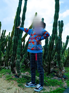 ヨタゴニアさんのコーディネート