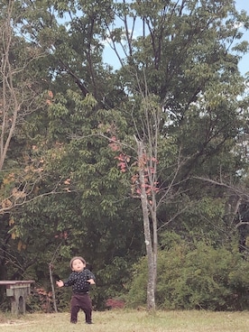 stellaさんのコーディネート