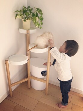 chihaさんのコーディネート