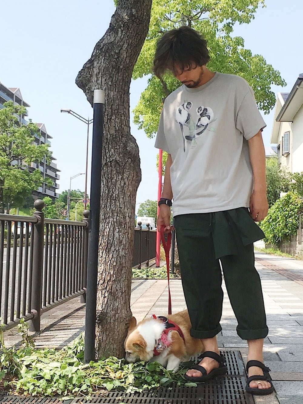 「夏コーデ、シンプル、ゆるコーデ、Tシャツ、アニマル、アニマルＴシャツ、動物モチーフ、サンダル、おしゃれさんと繋がりたい、オトナカジュアル」｜「usedのアイテム（Tシャツ/カットソー、グレー系）」を使った、ましゃしさん（メンズ・174cm）の夏コーディネートの1枚目の写真