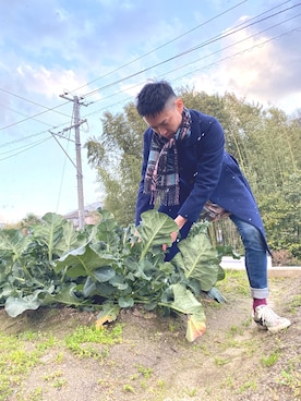 morrowさんのコーディネート