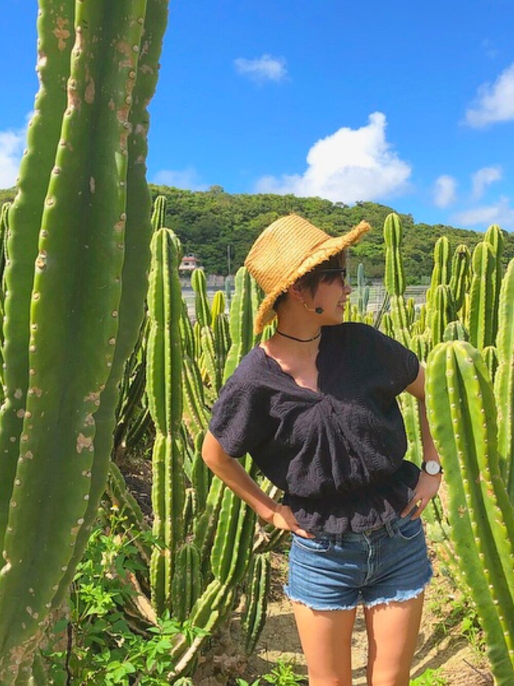 「カジュアル、麦わら帽子、デニム、沖縄、夏コーデ、セールで買いました」｜「UNIQLOのウルトラストレッチジーンズ(カットオフ)（デニムパンツ、ブルー系）」を使った、nonさん（レディース・163cm）の秋コーディネートの1枚目の写真