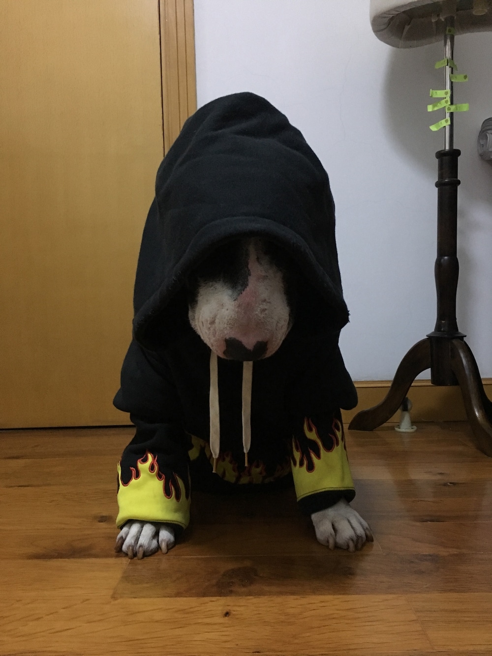 「ALDIESのアイテム（パーカー、ブラック系）」を使った、leoさん（キッズ・50cm）の春コーディネートの1枚目の写真