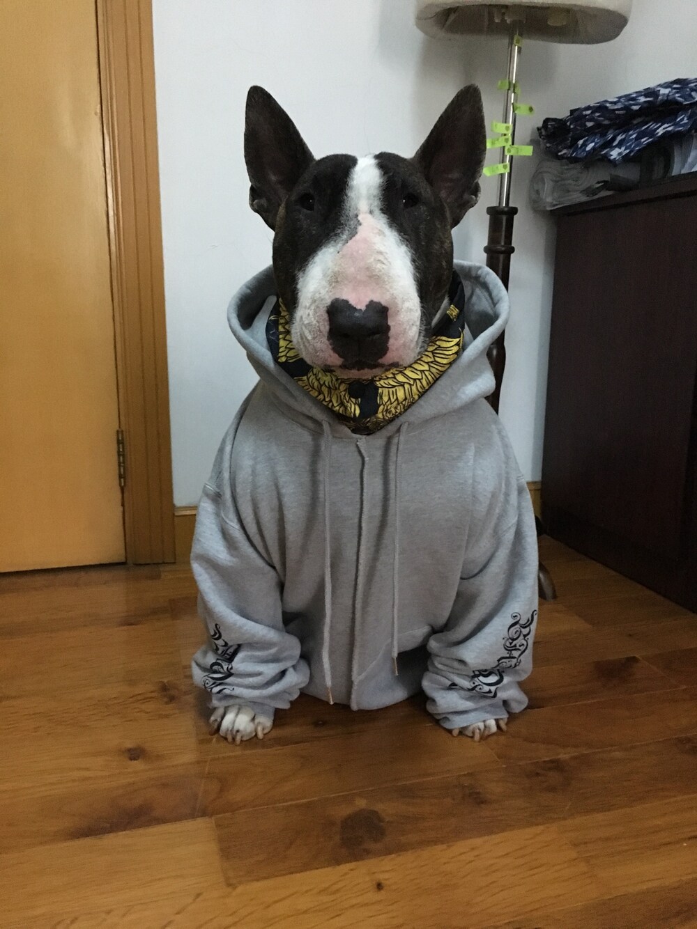 「SWAGGERのアイテム（パーカー、グレー系）」を使った、leoさん（キッズ・50cm）の春コーディネートの1枚目の写真