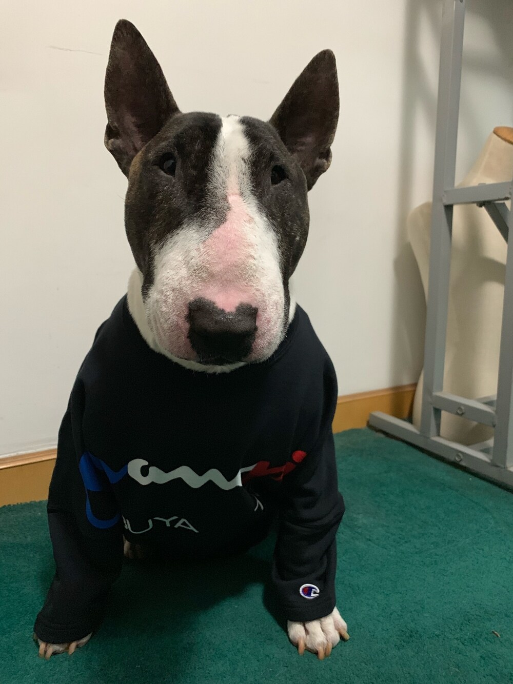 「champion Tokyo shibuyaのアイテム（Tシャツ/カットソー、ブラック系）」を使った、leoさん（キッズ・60cm）の春コーディネートの1枚目の写真