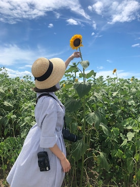 「ひまわり畑」｜「アイテム（シャツワンピース）」を使った、Mikiさん（レディース・158cm）の夏コーディネート
