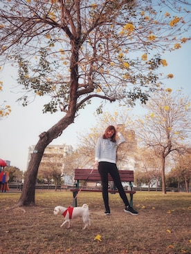 mi🇹🇼さんのコーディネート