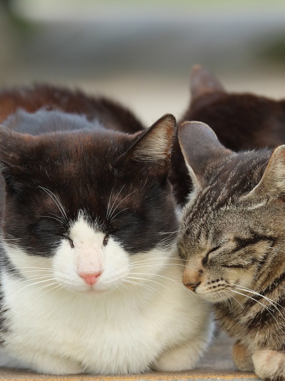 ホワイト系のポーチを着用したキッズの秋コーディネートの1枚目の写真