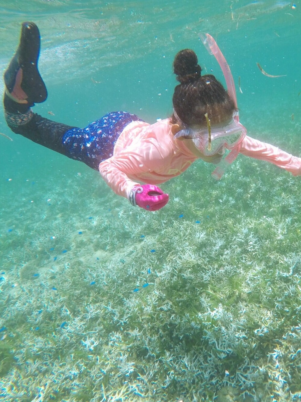 「海コーデ、シュノーケリング、スイムウェア、ラッシュガード、レギンス×ショートパンツ、マリンシューズ、海、サーフパンツ、海スタイル、花柄」｜「ROXYのアイテム（水着/着物・浴衣、ブラック系）」を使った、マチュさん（キッズ・120cm）の夏コーディネートの1枚目の写真