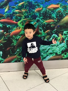 すいぼーいさんのコーディネート