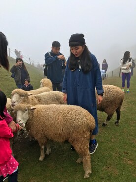 Judy wuさんのコーディネート