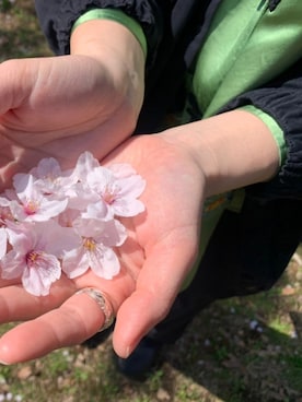 kokko10さんのコーディネート