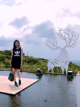 Lauren さんのコーディネート