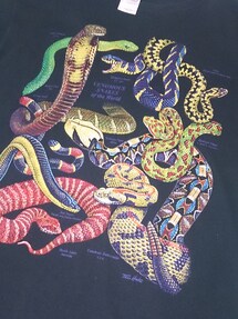 GILDAN | Tシャツ/カットソー