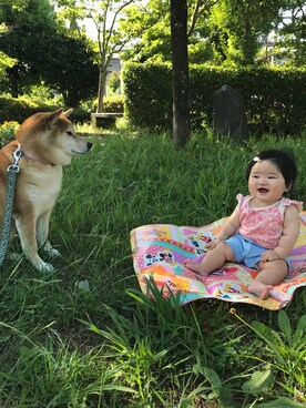 ふーちゃんさん（キッズ・70cm）の夏コーディネート