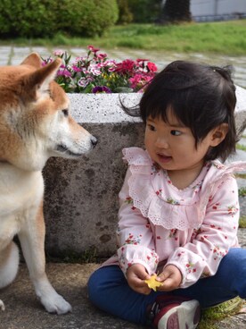 「1歳5ヶ月」｜「アイテム（ワンピース/ドレス）」を使った、ふーちゃんさん（キッズ・70cm）の春コーディネート