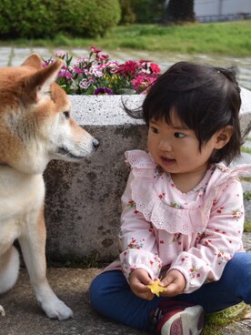 ふーちゃんさんのコーディネート