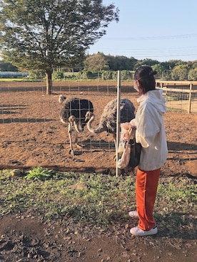 chimuchimuさんのコーディネート