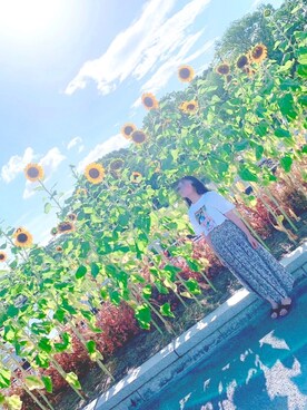 なあさん（レディース・151cm）の夏コーディネート