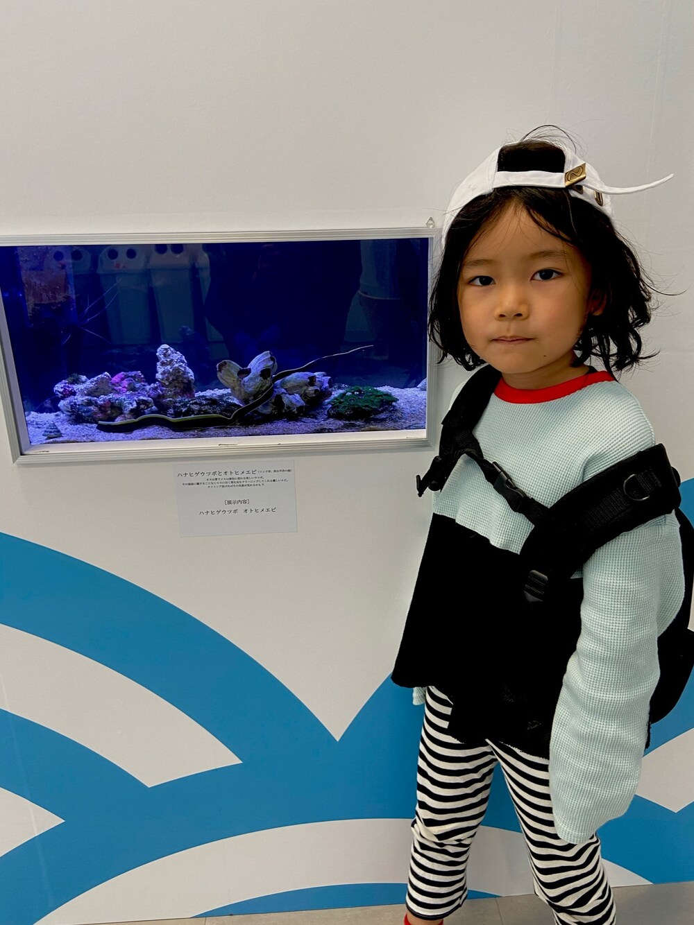 「ゆるコーデ、ボーダー、キッズファッション、公園スタイル、おとこのこ」｜「frankygrowのアイテム（トップス、ブルー系）」を使った、puuuuton11さん（キッズ・100cm）の秋コーディネートの1枚目の写真