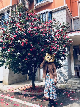 nnnnnammeさんのコーディネート