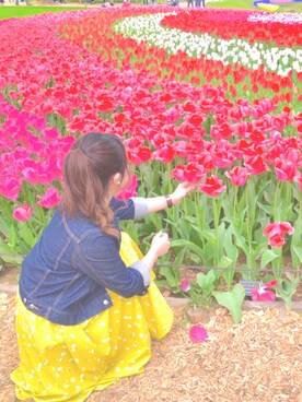 tomimimyさんのコーディネート