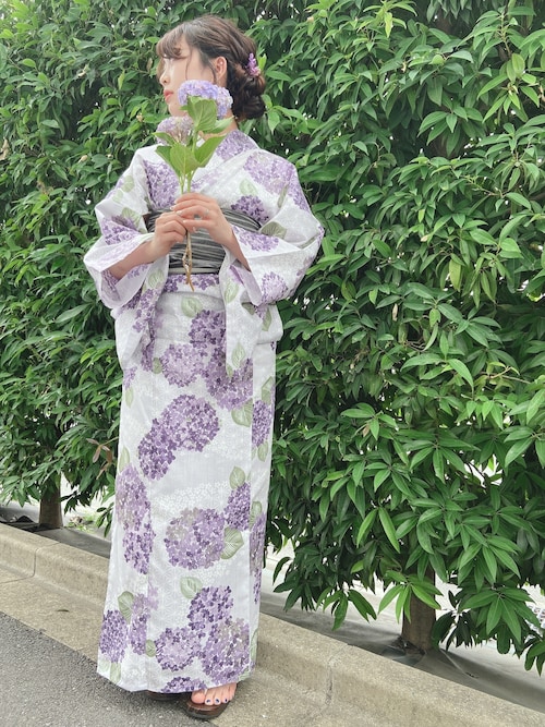 Green Parks（グリーンパークス）の「流れる天の河と紫陽花の