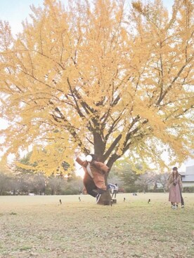 きむさんのコーディネート