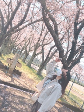 きむさんのコーディネート