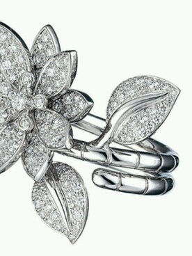 Quianaさんのコーディネート