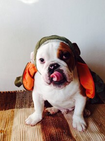 ベロが気持ち悪い | ベロがエイリアンみたいになっちゃいました。テヘッ。(その他)