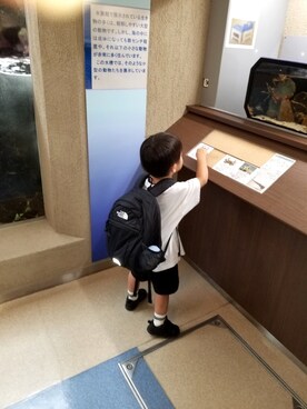 kairiさん（キッズ・100cm）の夏コーディネート