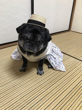 「パグ」｜mimiriさん（レディース・164cm）の秋コーディネート