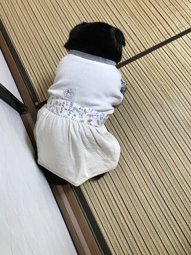 mimiriさんのコーディネート