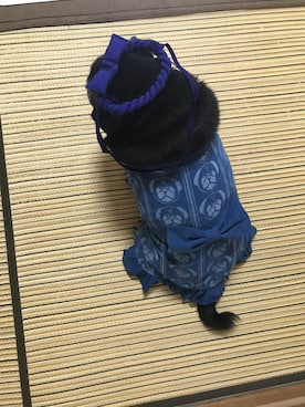 「パグ」｜mimiriさん（レディース・164cm）の秋コーディネート