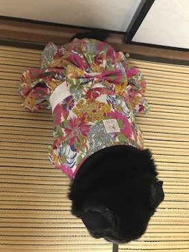 「パグ」｜mimiriさん（レディース・164cm）の秋コーディネート