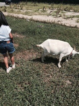 miiyさんのコーディネート