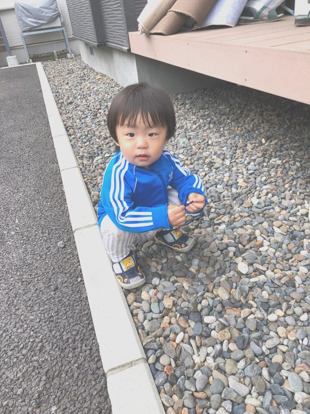 「男の子コーデ、一歳、アディダスオリジナルス、ちょっとさむい、UNIQLO、ベビーコーデ、お散歩♪、ジャージ、ミキハウス、カジュアル」｜「adidasのトラックスーツ [INFANT SST SUIT] ジャージセットアップ アディダスオリジナルス (キッズ/子供用)（ジャージ、ブルー系）」を使った、haruwedさん（キッズ・90cm）の春コーディネートの1枚目の写真