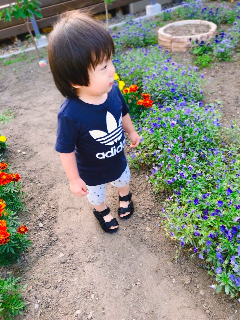 「夏だ！Tシャツ着よう！、夏コーデ、男の子コーデ、一歳、むすこーで、お散歩♪、アディダスオリジナルス、ユニクロ、西松屋、サンダル」｜「adidasのトレフォイルTシャツ [TREFOIL TEE] アディダスオリジナルス（Tシャツ/カットソー、ブルー系）」を使った、haruwedさん（キッズ・74cm）の夏コーディネートの1枚目の写真